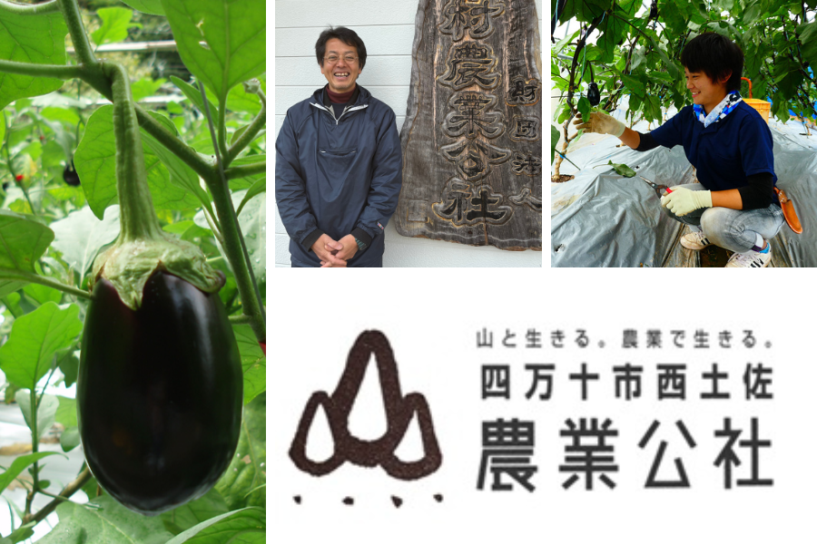 【四万十市】農業に挑戦したいあなたへ。西土佐農業公社をおすすめする理由